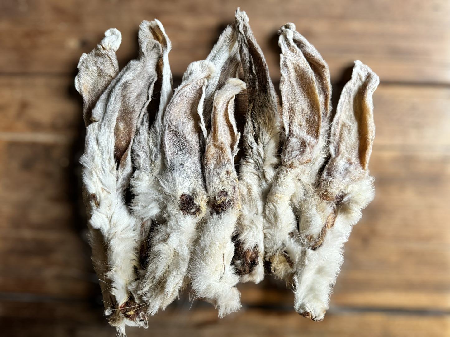 10 Pack: Fur-tastic Rabbit Ears